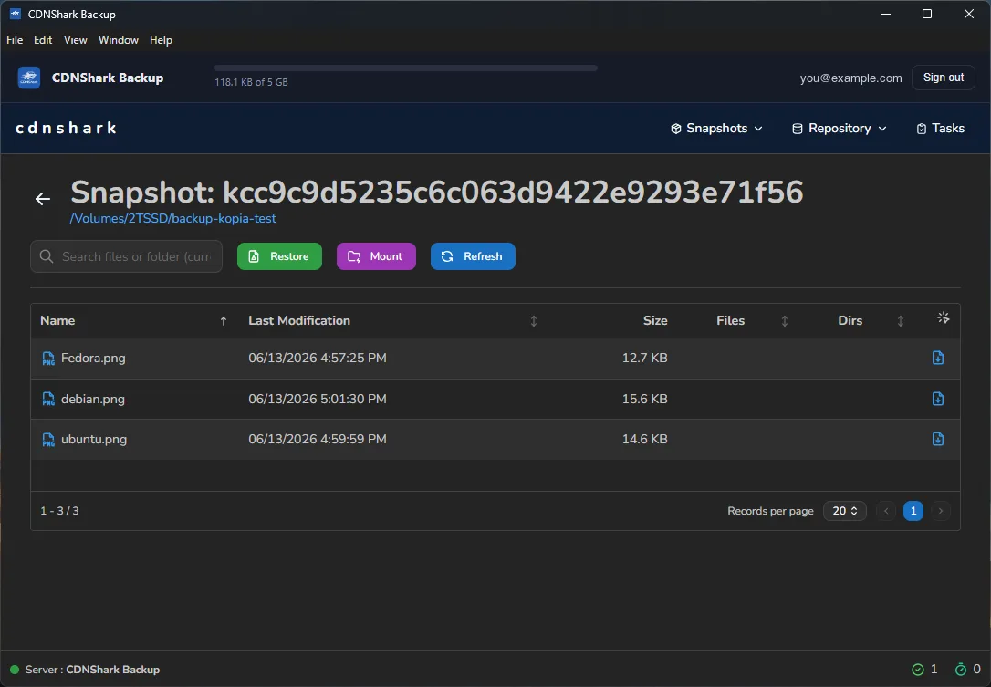 Restore just what you need — CDNShark Backup