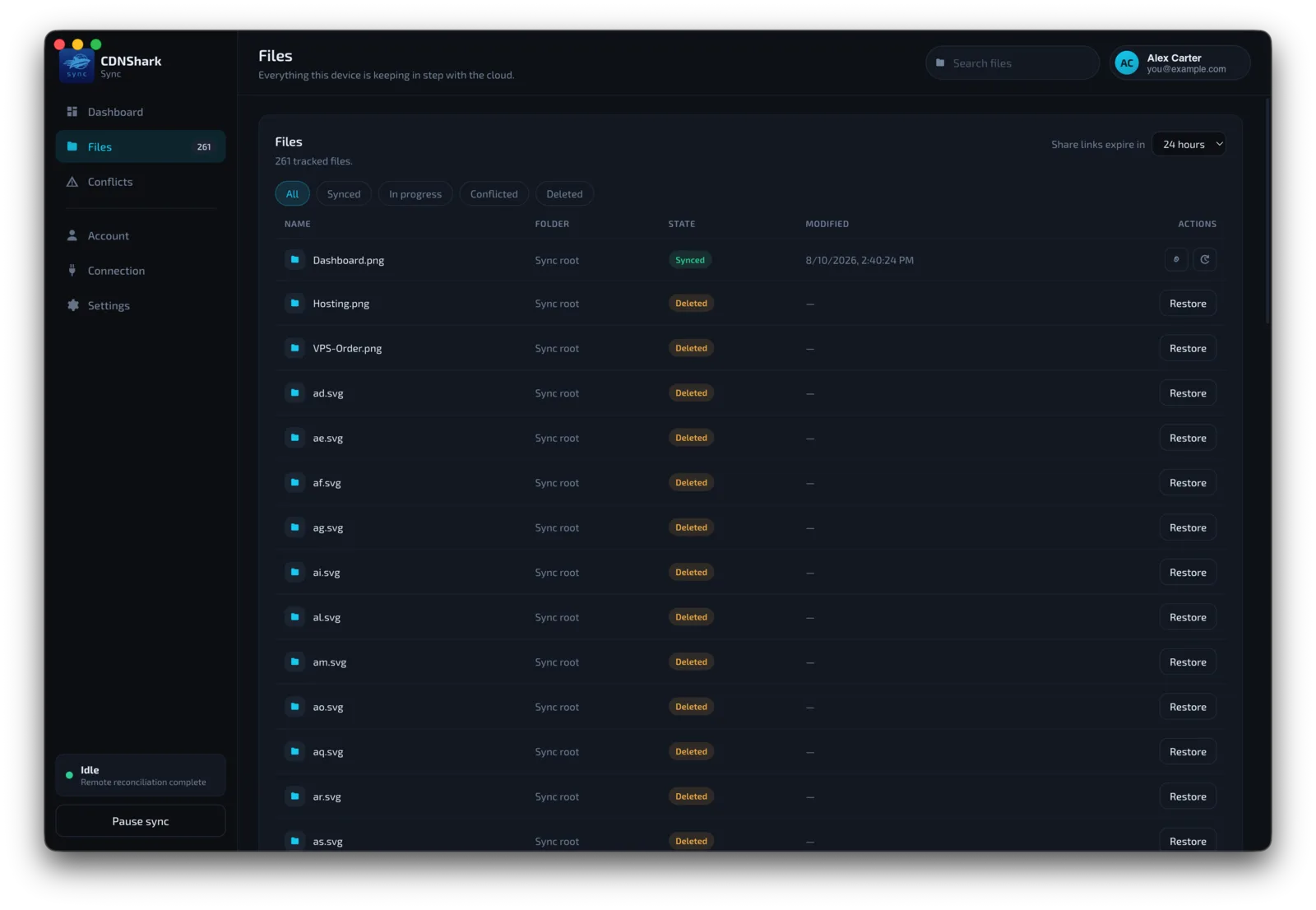 Every file, searchable — CDNShark Sync